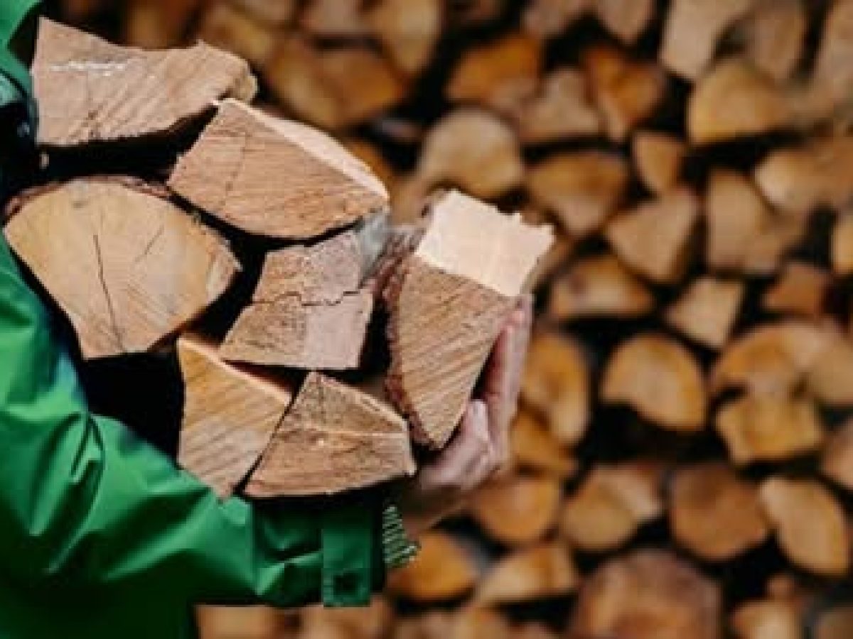 Δωρεάν διανομή καυσόξυλων από τον Δήμο Μαραθώνος σε ευάλωτες οικογένειες – τα δικαιολογητικά και η υποβολή αιτήσεων