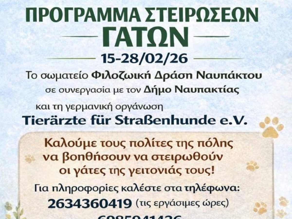 Δωρεάν στειρώσεις αδέσποτων γατών στη Ναύπακτο από 15 έως 28 Φεβρουαρίου