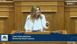 e.-liakouli-to-thema-1