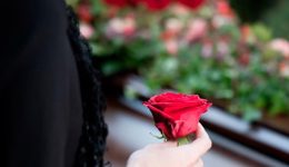 efige-apo-tin-zoi-o-3