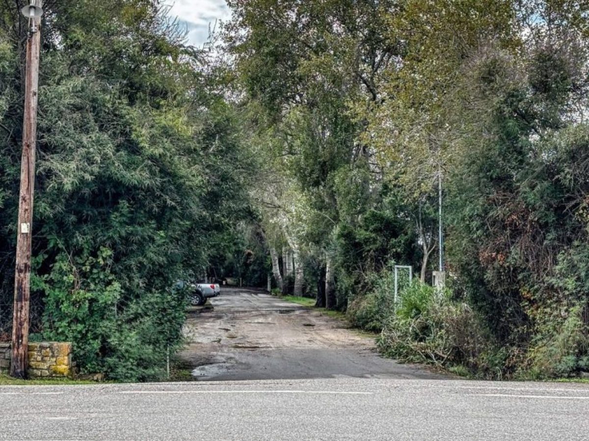 Έγκλημα στη Φοινικούντα: Ανασκευάζει την κατάθεσή του ο 22χρονος – Αρνείται ότι πυροβόλησε