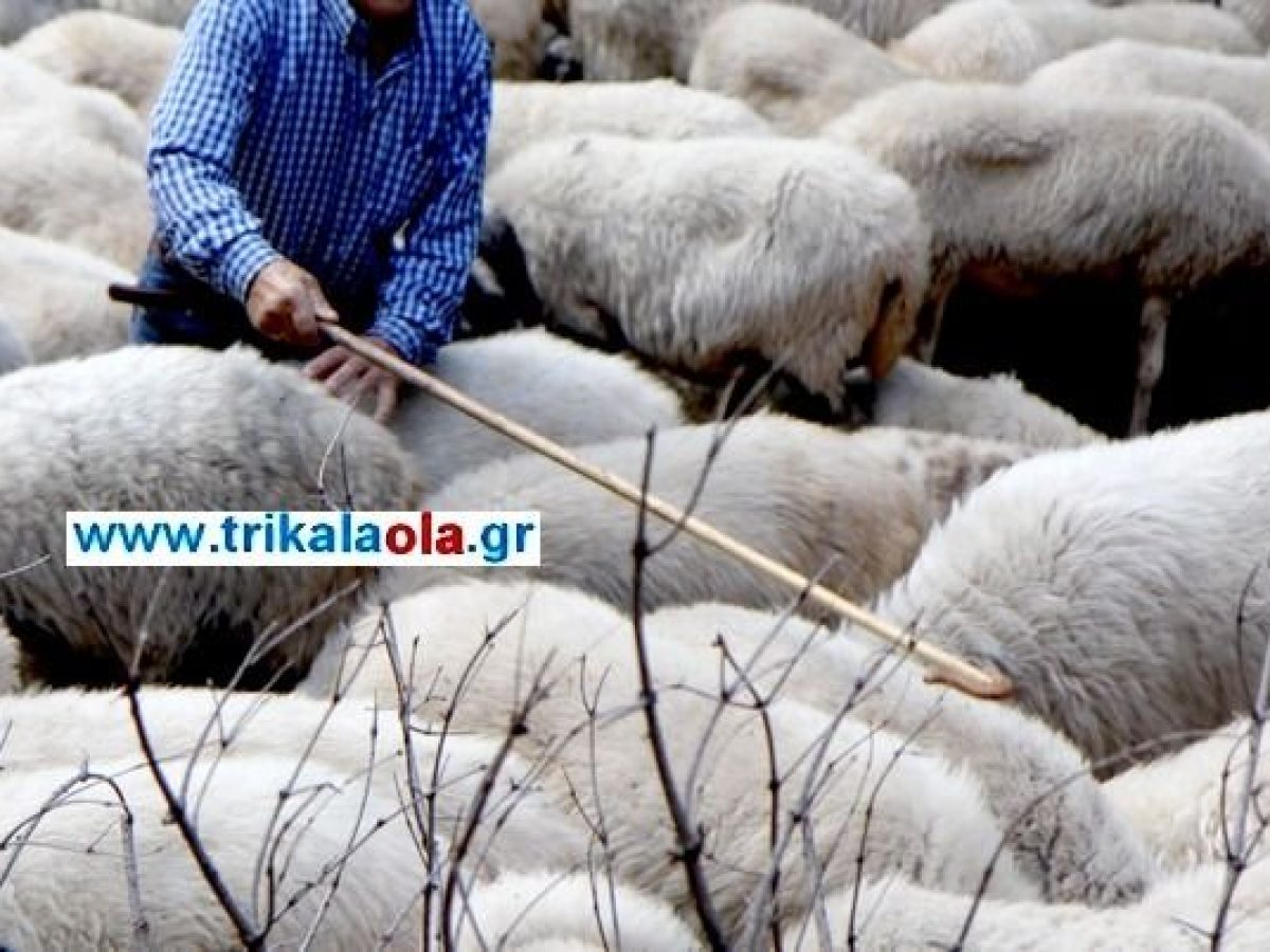 Εκπαιδευτικό Σεμινάριο προσωπικού μεταφορέων ζώντων ζώων