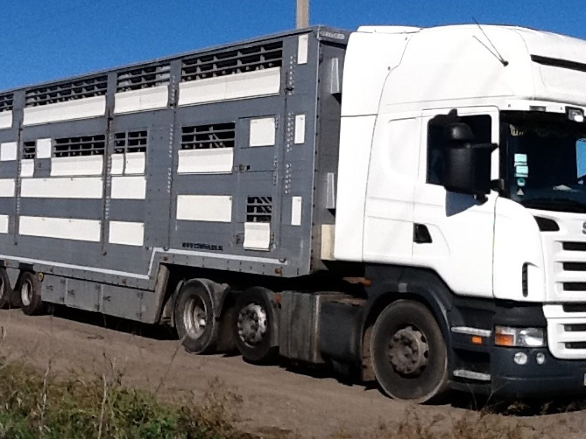 Εκπαιδεύονται οι κτηνοτρόφοι της Θεσπρωτίας στην μεταφορά ζώων