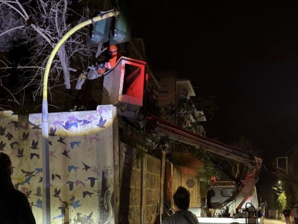 Έκτακτη διακοπή κυκλοφορίας σε τμήμα της οδού Παπαλουκά λόγω εκρίζωσης δέντρου και πτώσης τοιχίου