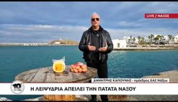 ektos-listas-ee–Mercosur-i-graviera