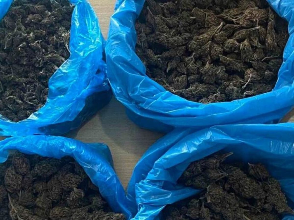 ΕΛ.ΑΣ.: Συνελήφθη άνδρας για διακίνηση ναρκωτικών στην Ηλεία, κατασχέθηκαν 540 γραμμάρια κάνναβης