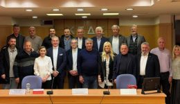 emis-kritiki-ston-kiparissi-ke
