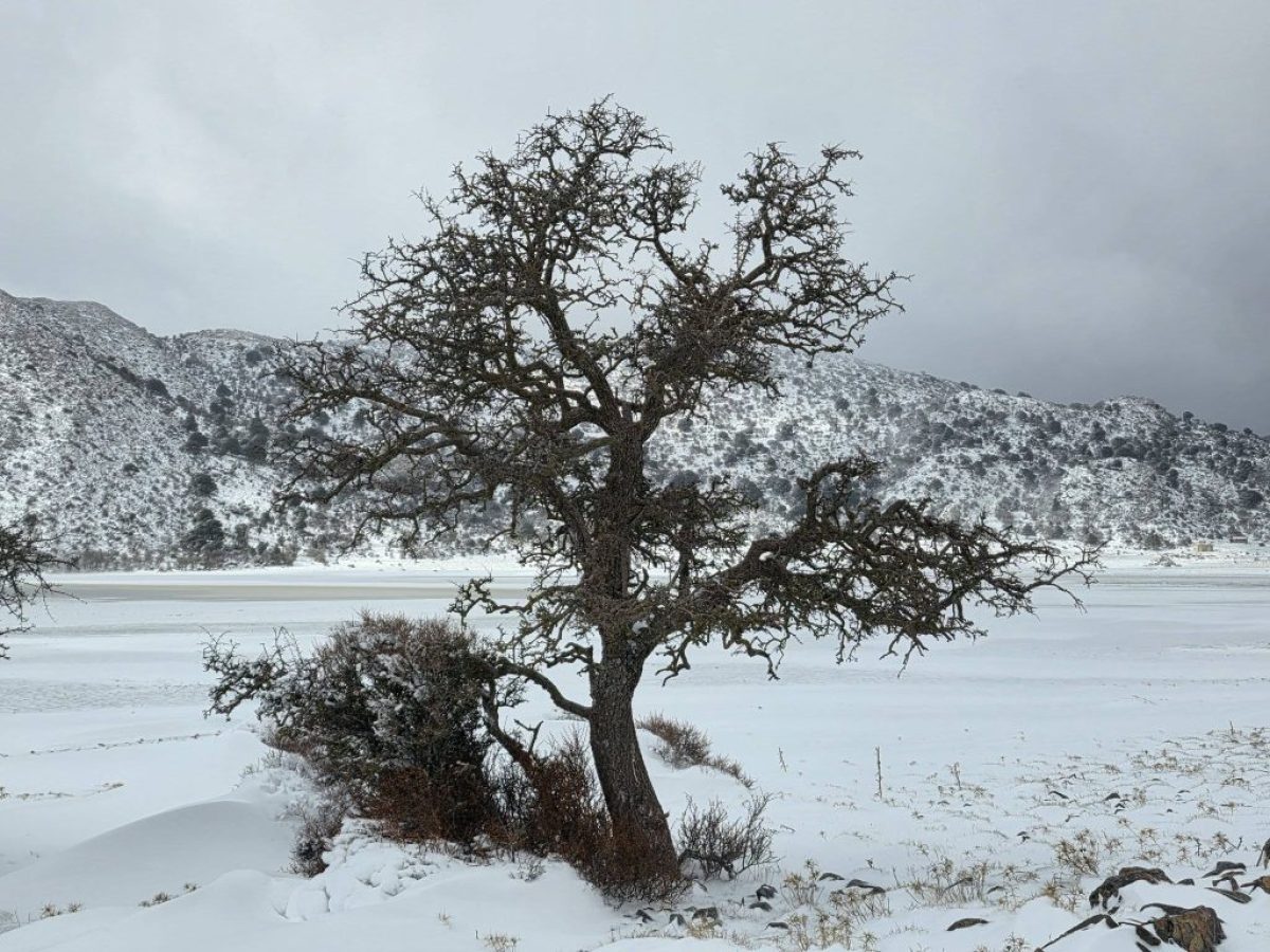 Εντυπωσιάζει ο κατάλευκος Ομαλός Βιάννου – Δείτε φωτογραφίες
