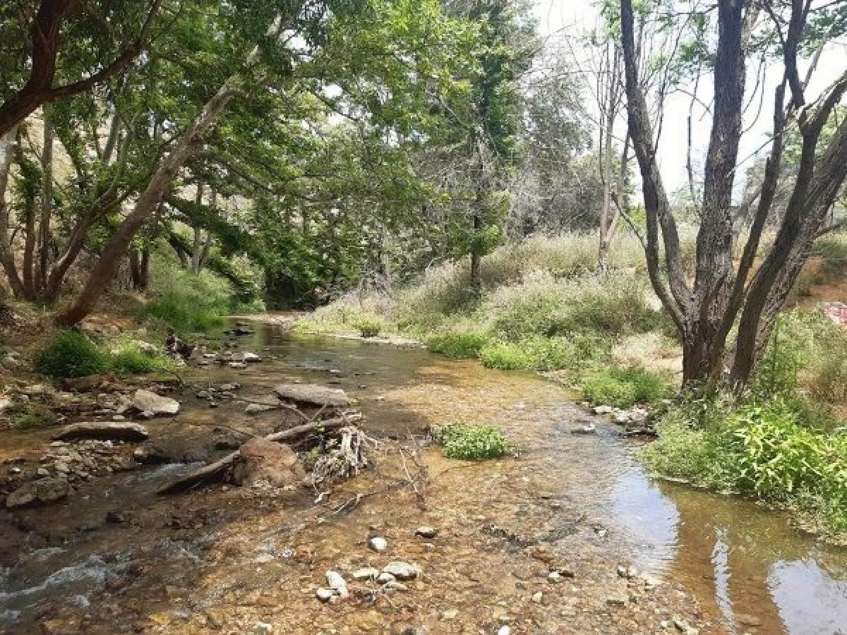 Εορτασμός των Θεοφανείων στον Δήμο Κηφισιάς – Τρίτη 6 Ιανουαρίου 2026