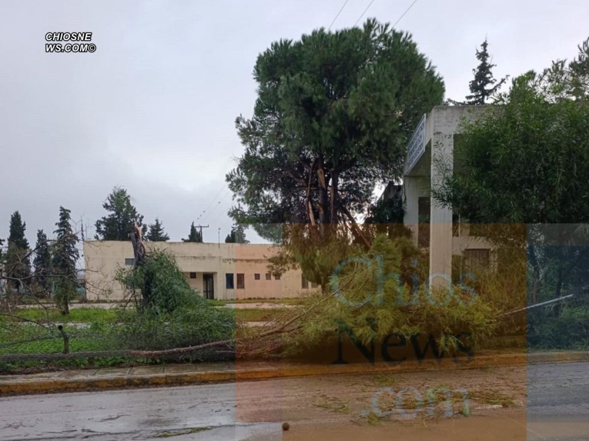 Επεμβάσεις της Πυροσβεστικής εξαιτίας της κακοκαιρίας