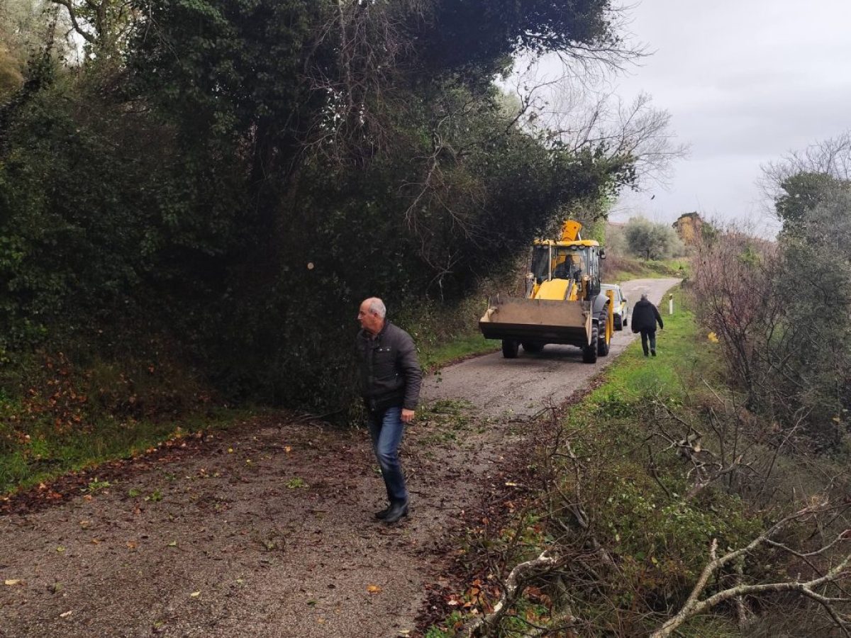Έπεσαν δέντρα στο δρόμο Παλαιοκαρυά-Κυρά Βγένα, επί τόπου μηχανήματα του Δήμου Αγρινίου