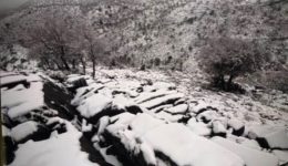 epesan-ta-prota-chionia-ston-psiloriti