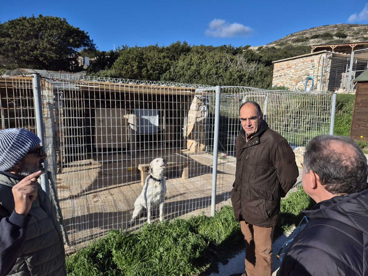 Επίσκεψη στο καταφύγιο αδέσποτων ζώων του PAWS στο Μαράθι και υπογραφή νέας σύμβασης παροχής υπηρεσιών για την φιλοξενία αδέσποτων ζώων συντροφιάς