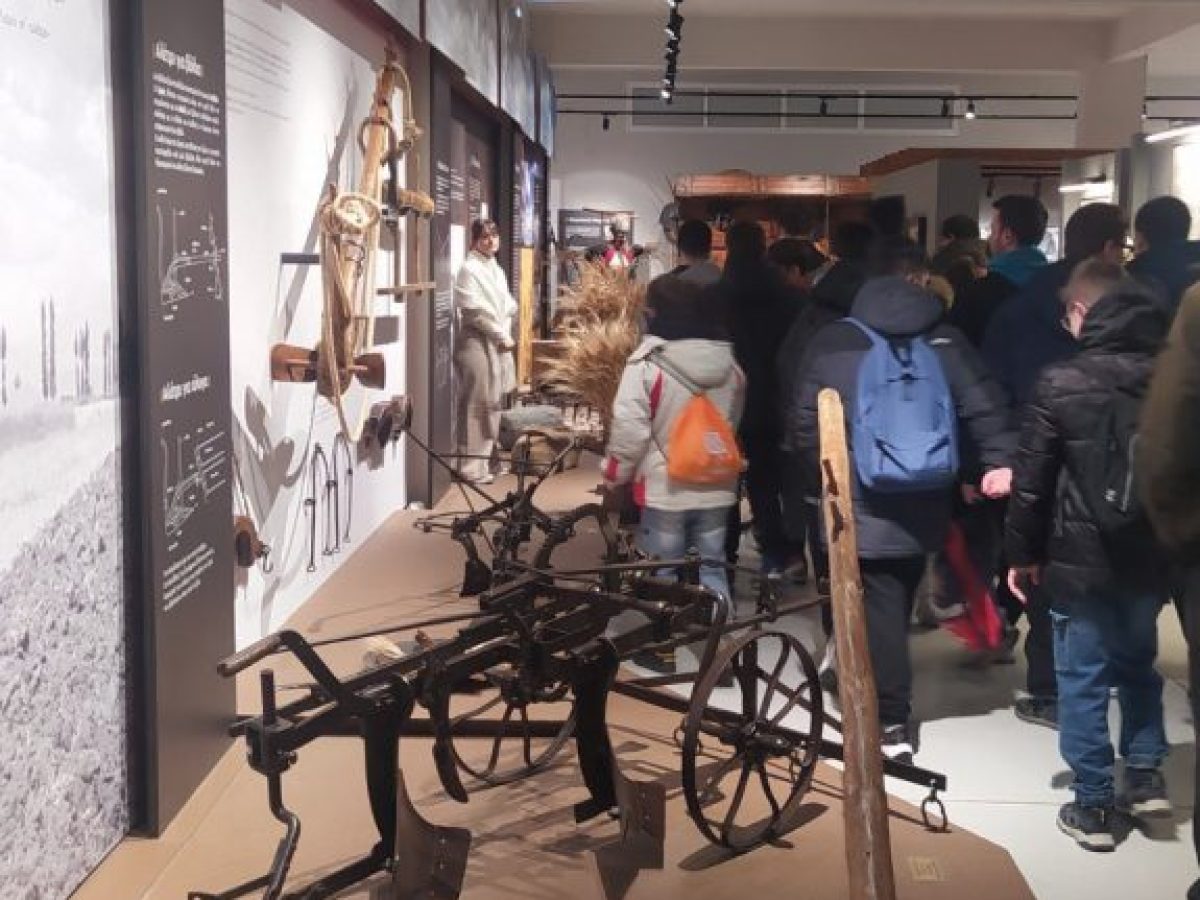 Επίσκεψη του ΕΝΕΕΓΥΛ Λάρισας στο ΜΟΥΣΕΙΟ ΣΙΤΟΥ”-ΜΕΛΙΣΣΑ ΚΙΚΙΖΑΣ