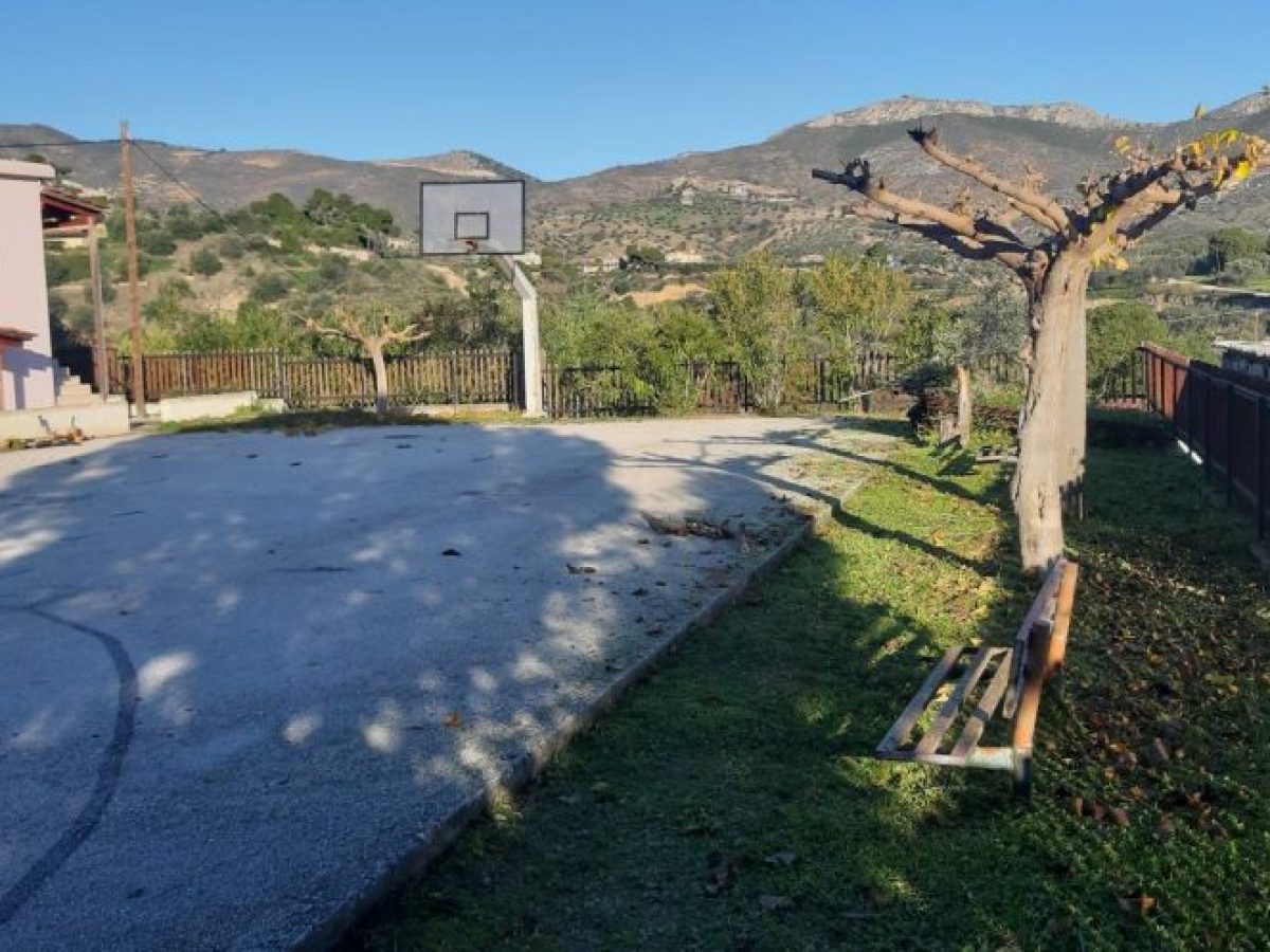 Εργασίες καθαρισμού και κλαδέματος σε σχολεία και κοιμητήρια της Αλμυρής (ΦΩΤΟ)