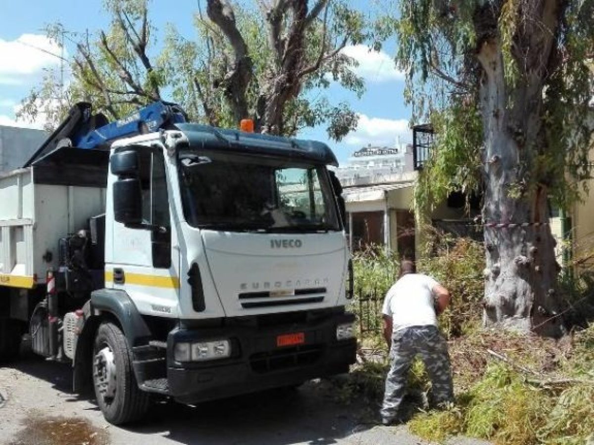 Εργασίες κλαδέματος την Δευτέρα στα Χανιά – Ποια σημεία να προσέξετε