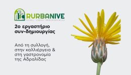 ergastirio-sin-dimiourgias-RURBANIVE-sti-milo