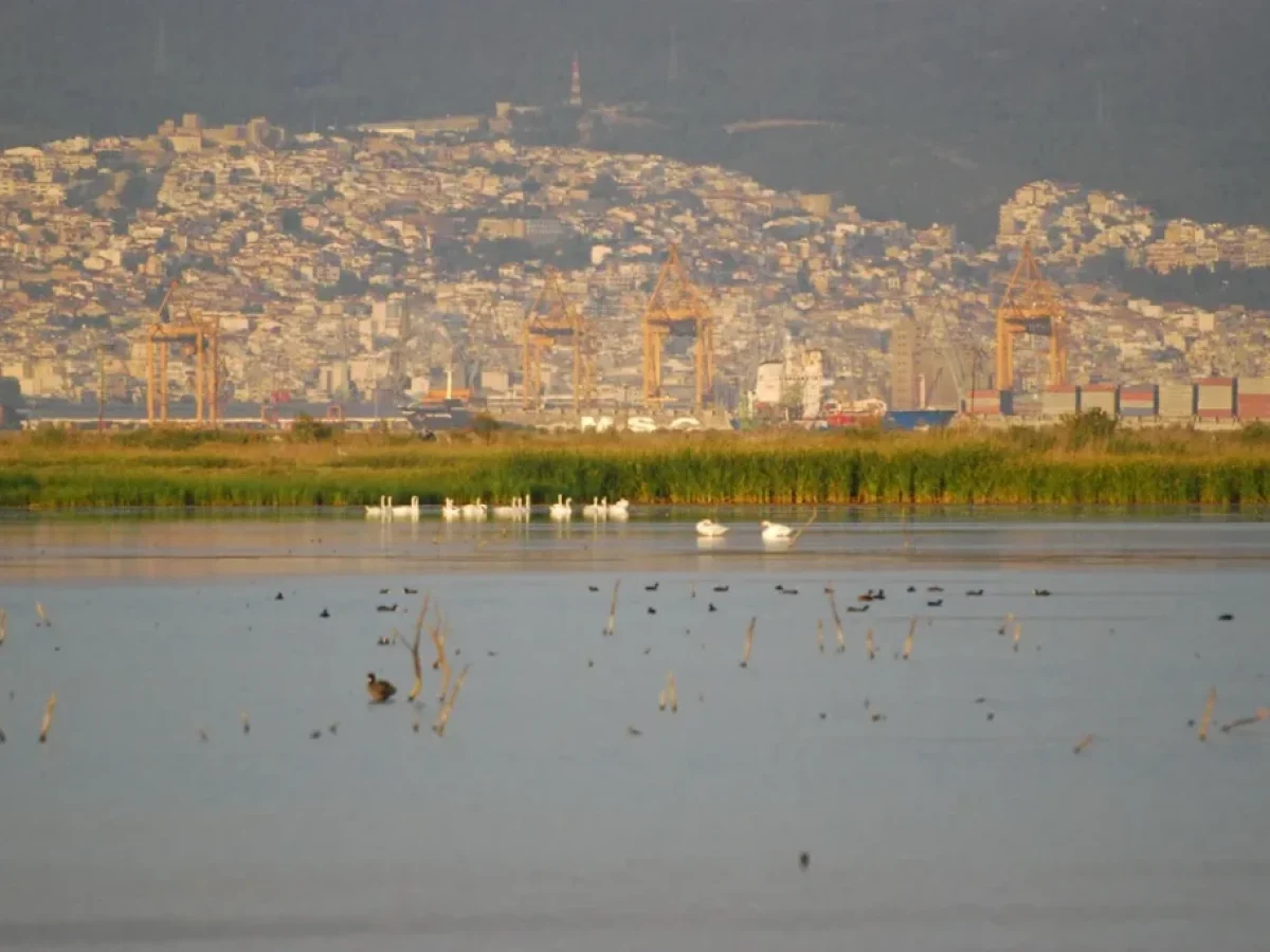 Εθελοντικοί καθαρισμοί λιμνοθαλασσών κοντά στη Θεσσαλονίκη για την Παγκόσμια Ημέρα Υγροτόπων
