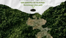 evdomada-dentrofitefsis-apo-ton-dimo