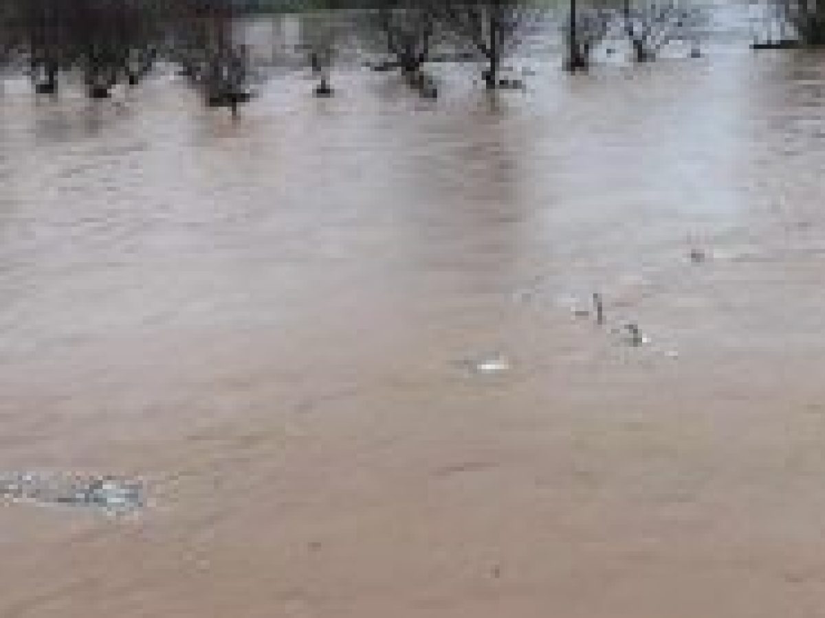 Έβρος: υπερχείλιση ποταμού στην Κορνοφωλιά (φωτογραφίες) – τρία σχολεία εκκενώθηκαν στην Αλεξανδρούπολη