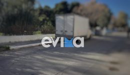 evvia-Άgrios-xilodarmos-16chronou-&ndash;
