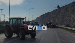 evvia-&ndash;-&Alpha;grotes-ti-apofasisan