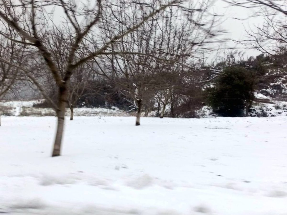 Εύβοια: Αυτό το χωριό «σκεπάστηκε» από το χιόνι