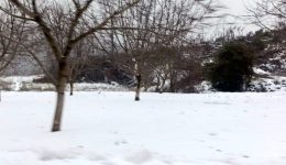 evvia-afto-to-chorio-skepastike
