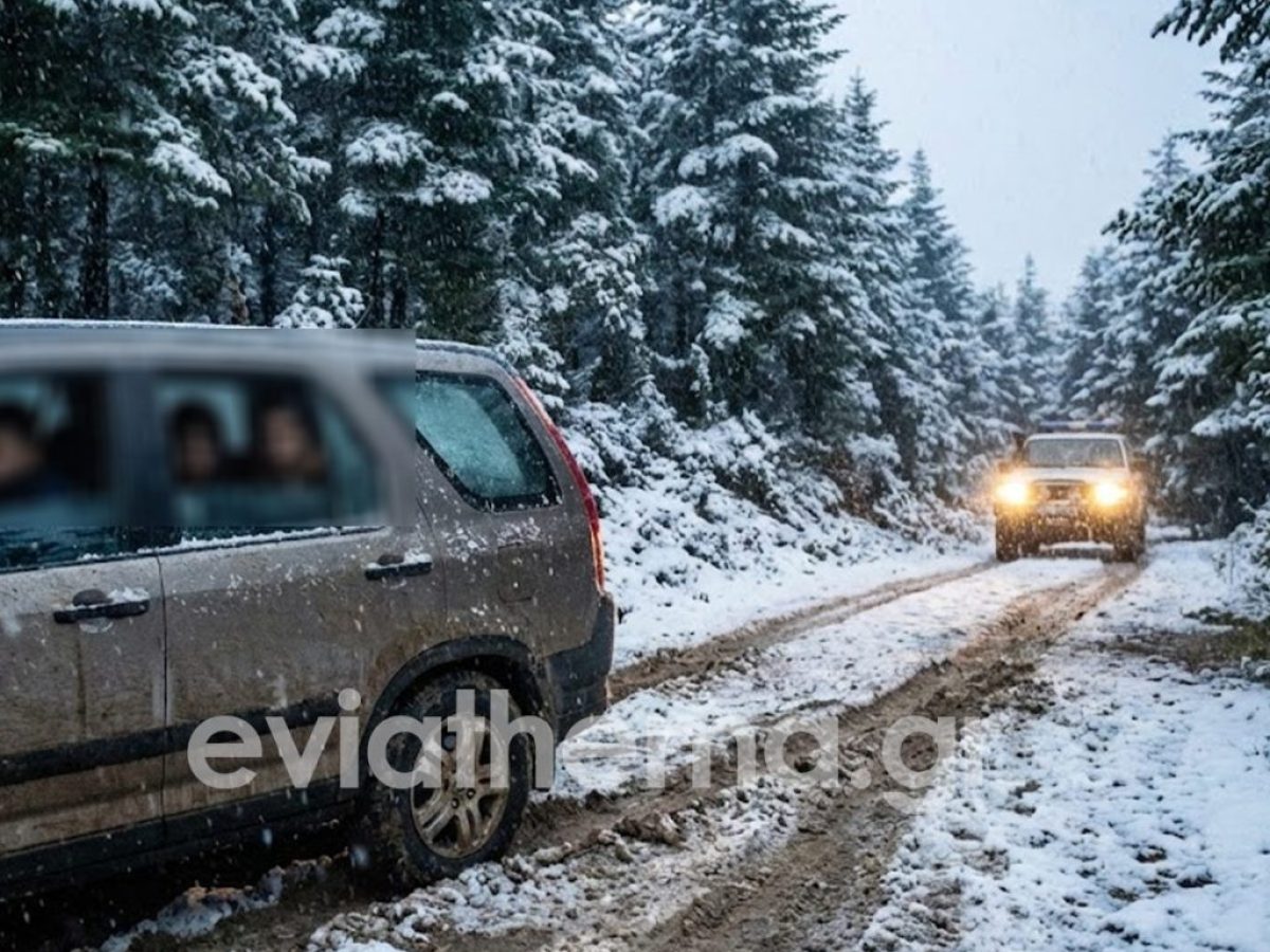 Εύβοια: «Θρίλερ» στα χιόνια για 4 νέους – Η νύχτα αγωνίας στη Σέττα και η λύτρωση