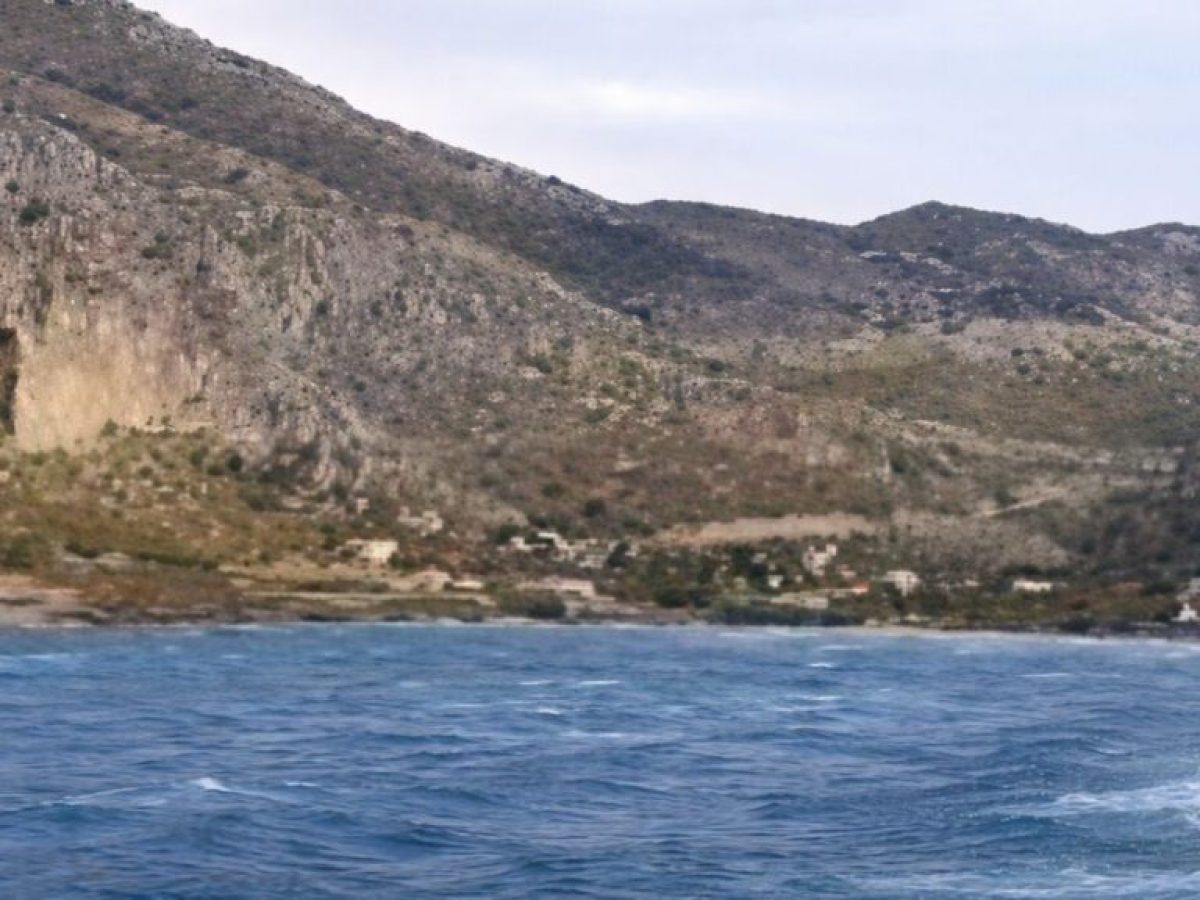 Εξαιρετικά σπάνια καταγραφή μεγάπτερης φάλαινας στην ανατολική Κάλυμνο