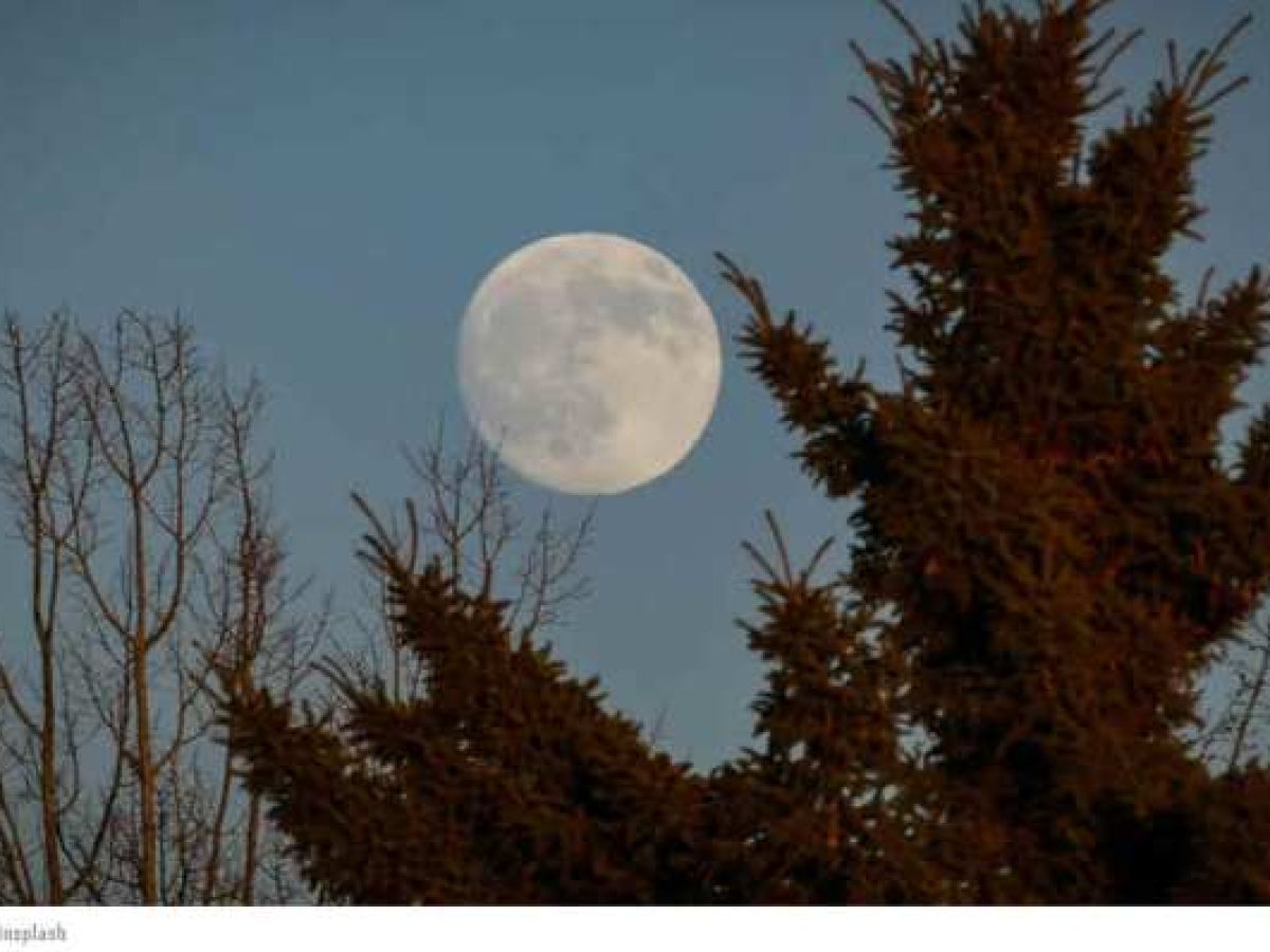 «Φεγγάρι του Λύκου»: Πότε θα δούμε την πρώτη πανσέληνο του 2026, γιατί ονομάστηκε έτσι