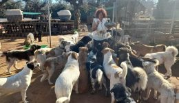 filozoikos-omilos-kalamatas-Αnagki-gia