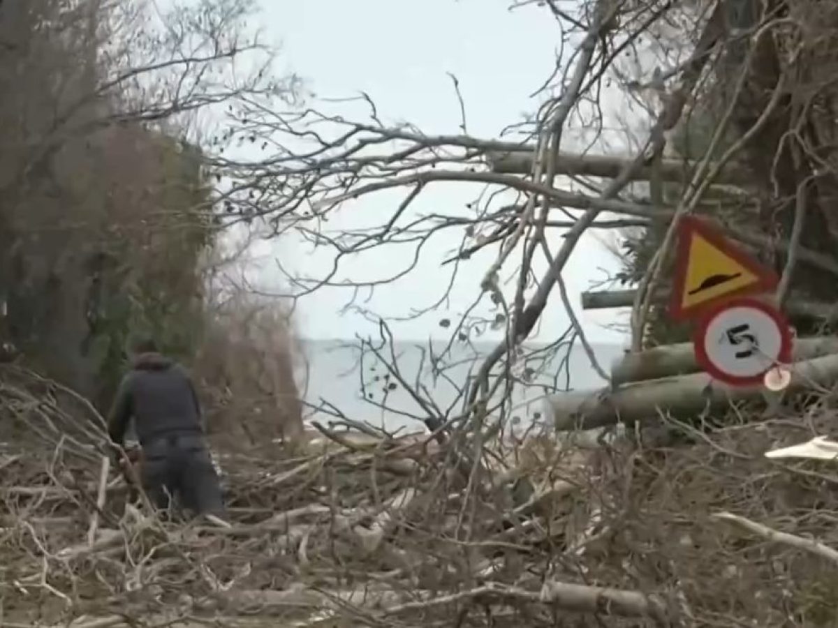 Γ. Ζαμπούκης, Δήμαρχος Αλεξανδρούπολης: Δεν μπορούσε να υπάρξει πρόβλεψη – Οι άνεμοι έφτασαν τα 12 μποφόρ