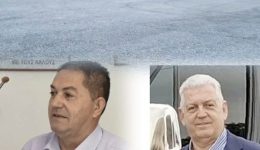 geniki-sinelefsi-me-endiaferon-pii