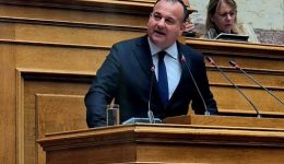 giannis-pappas-o-protogenis-tomeas