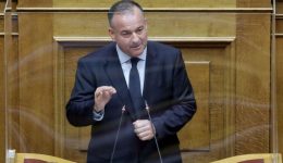 giannis-pappas-Αdiapragmatefti-i-pliris-2