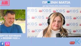 giorgos-iosifidis-thetiki-i-ikona