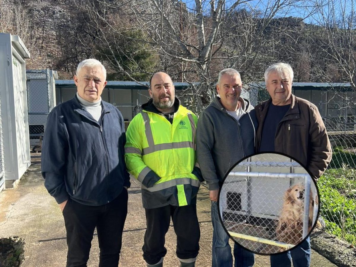 Γιώργος Σπύρου: Η «άγνωστη» εικόνα στο Κυνοκομείο Χαλκίδας και η συγκινητική έκκληση για τα αδέσποτα