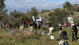 glifada-ekatontades-polites-edosan-pnoi-2