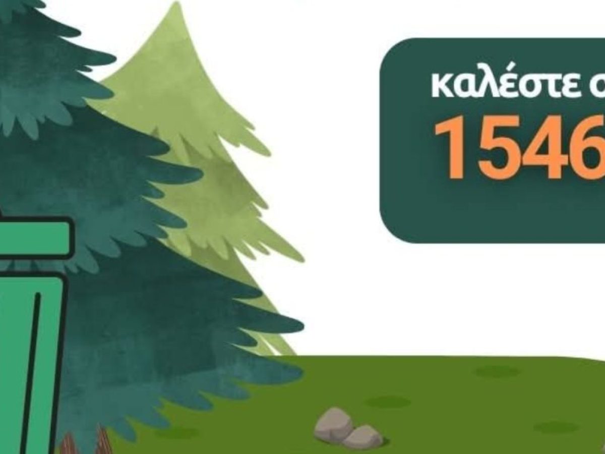 Γλυφάδα: Μην πετάτε το χριστουγεννιάτικο δέντρο σας – Με ένα τηλεφώνημα γίνεται ξύλα για το τζάκι!