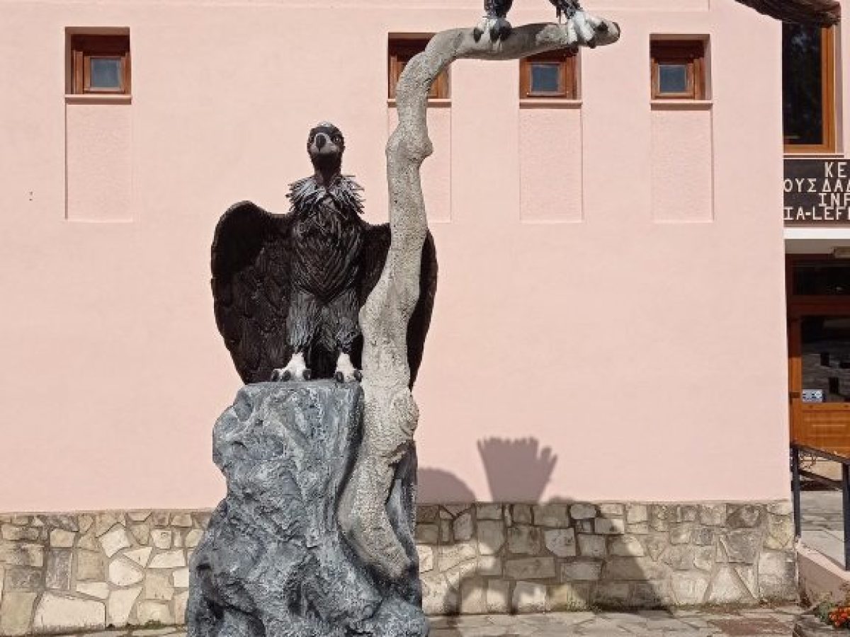 Γλυπτό μαυρόγυπα στο Κέντρο Ενημέρωσης Δαδιάς 