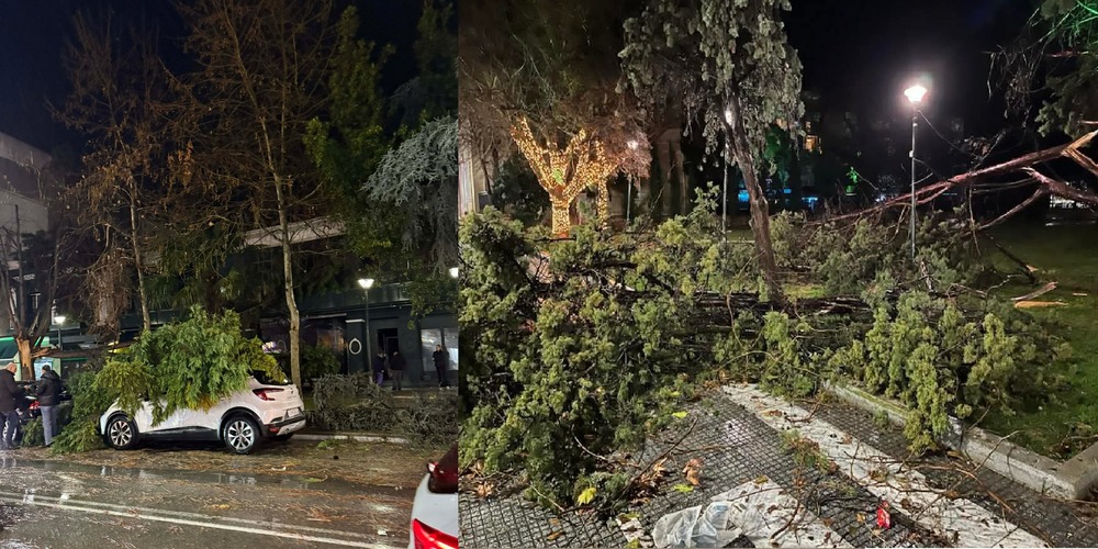 i-&Alpha;lexandroupoli-metrai-tis-pliges