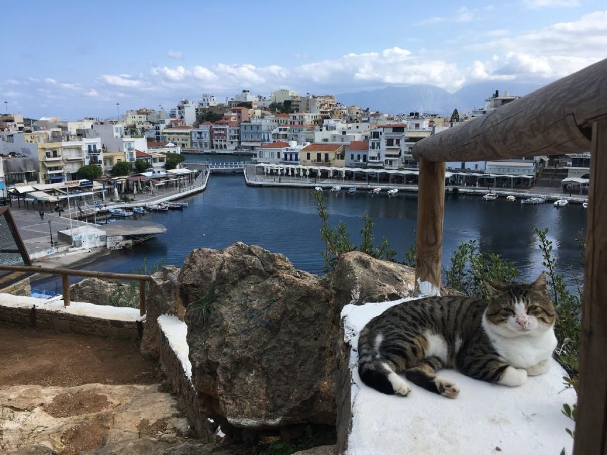 Οι αναπλάσεις στη χερσαία ζώνη λιμένος όπου δραστηριοποιούνται πολλές επιχειρήσεις εστίασης