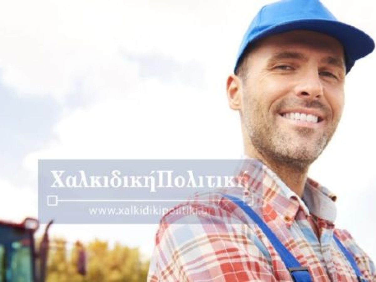 Η Χαλκιδική οργανώνεται