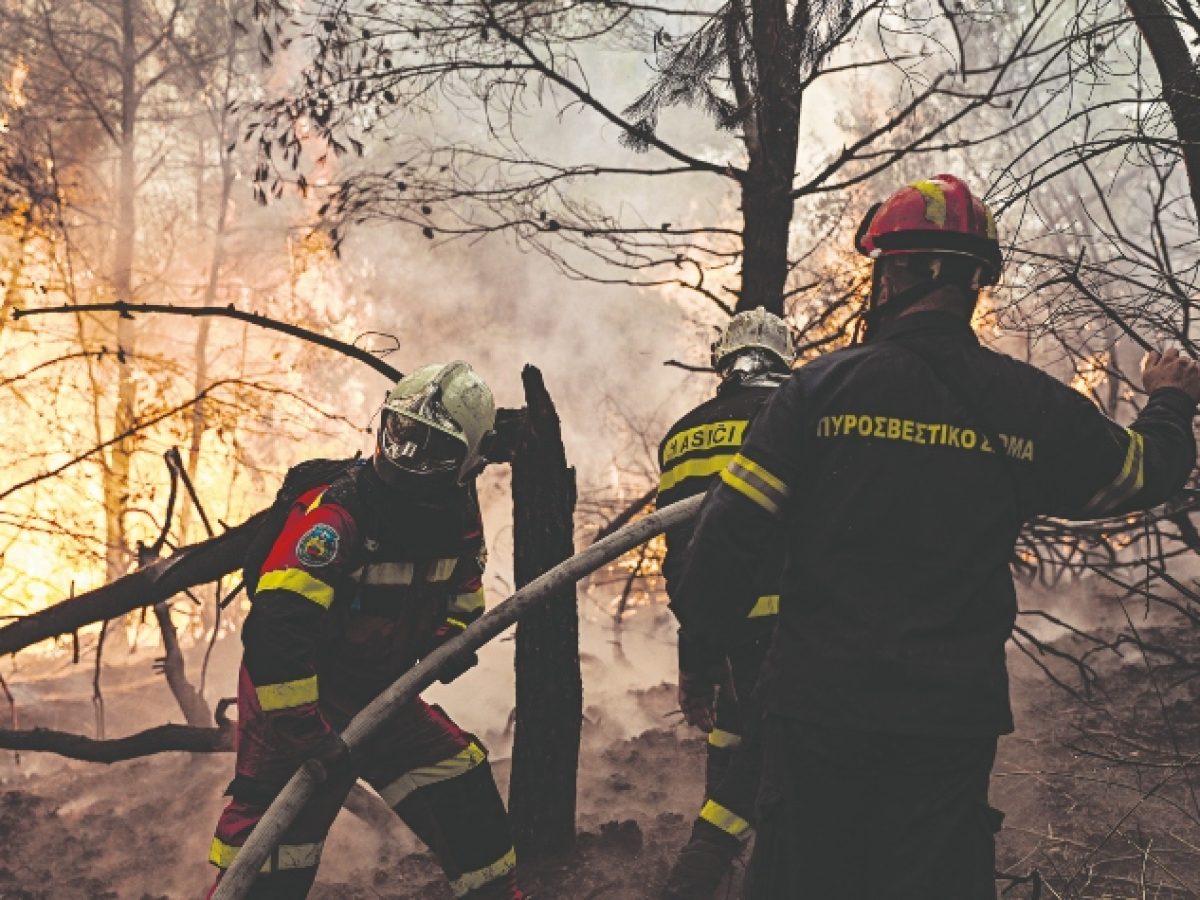 Οι δασικές πυρκαγιές, η προστασία των οικισμών και η θεσμική ευθύνη της δασικής πολιτικής