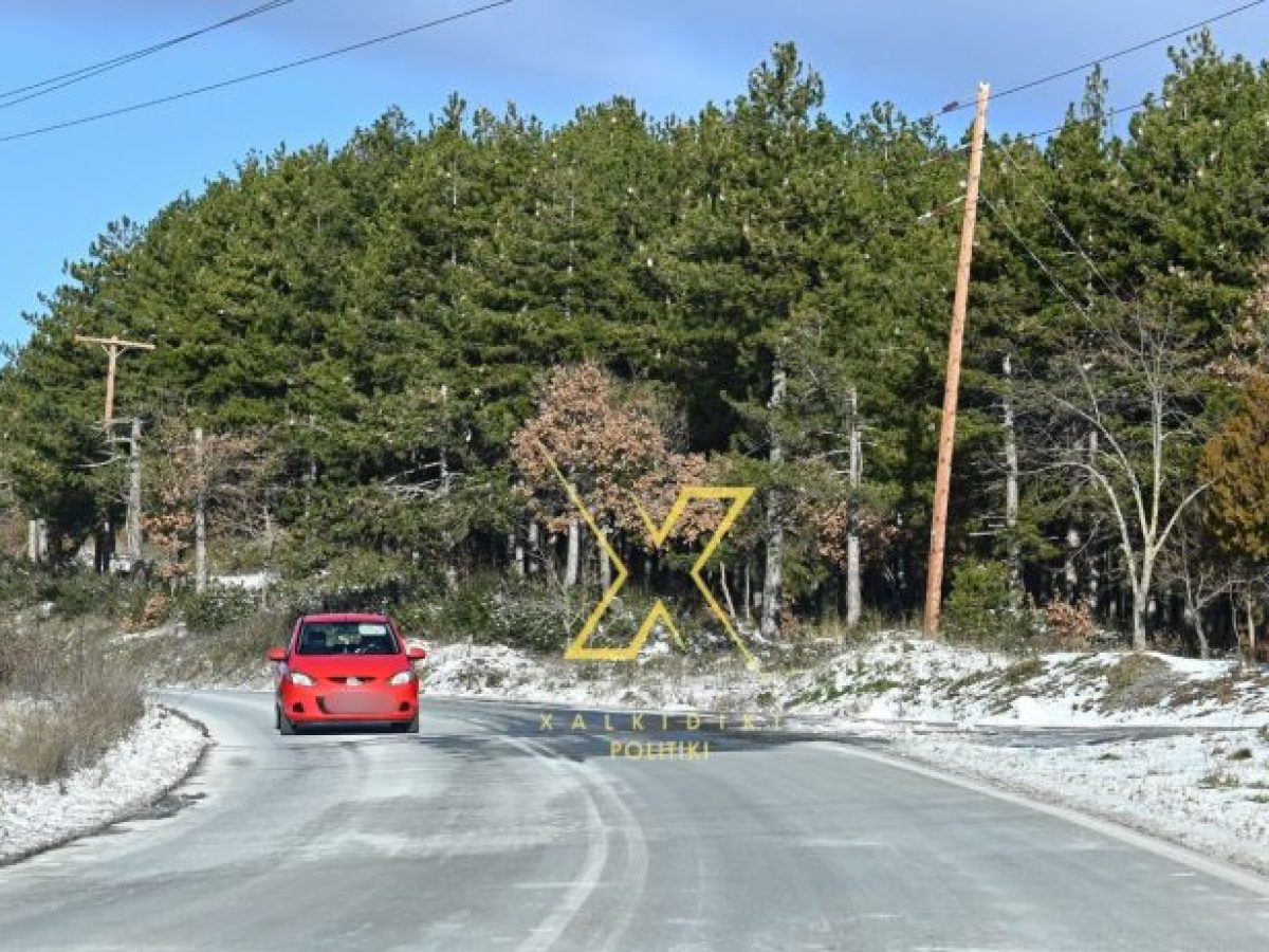 Η φωτογραφία της ημέρας