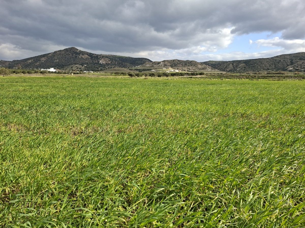 Η Φωτογραφία της ημέρας