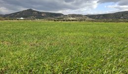 i-fotografia-tis-imeras-2