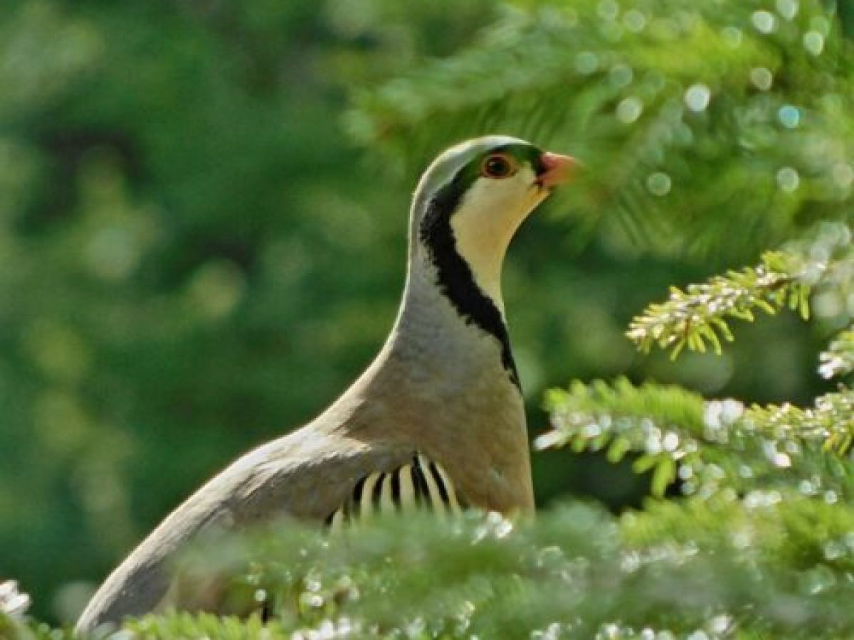 Οι καλύτερες συναντήσεις του 2025 (Φωτογραφίες) *Του Ελευθέριου Ζιούτη