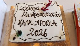 i-kopi-tis-protochroniatikis-pitas-10